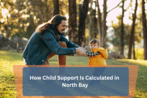 Read more about the article How Child Support Is Calculated in North Bay: A Complete Guide for Parents